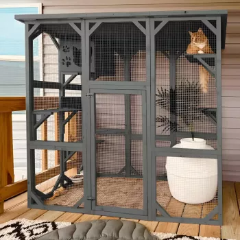 Safer Outdoor Time for Indoor Cats: Wooden Enclosure